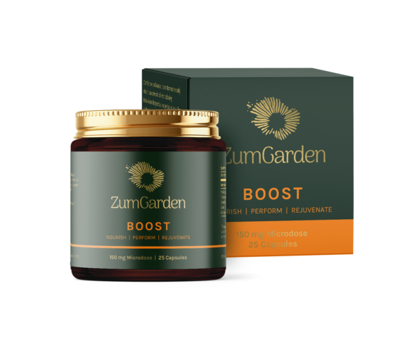 Boost - Image 2