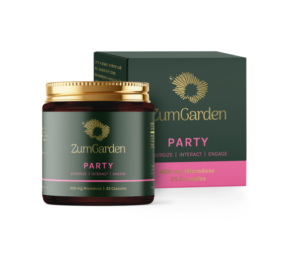 Party - Image 2