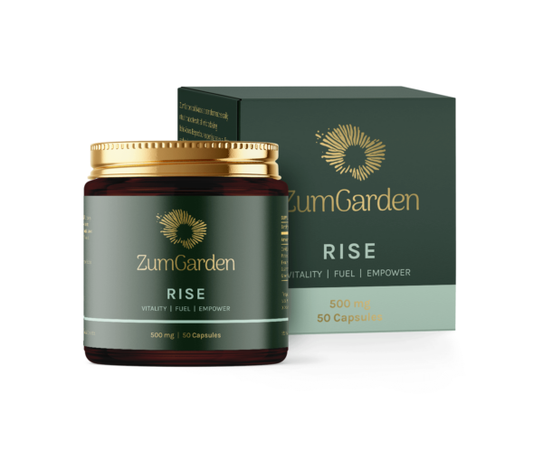 Rise - Image 2