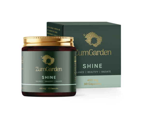 Shine - Image 3