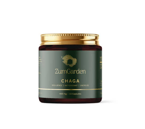 Chaga