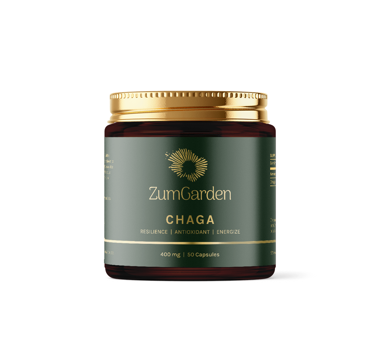 Chaga