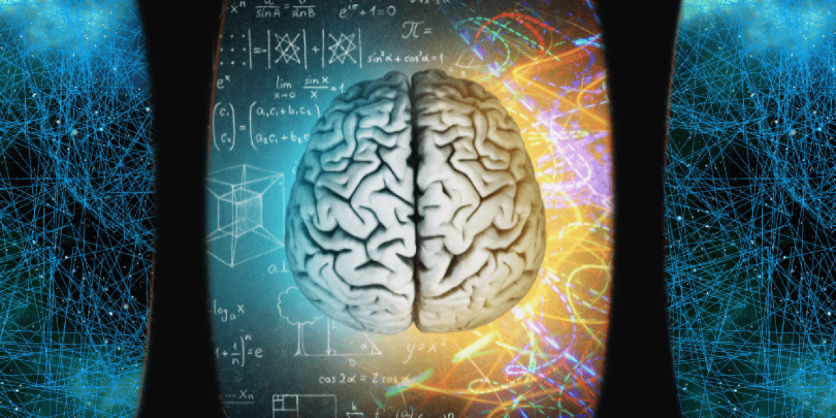 psilocybin and brain connectivity