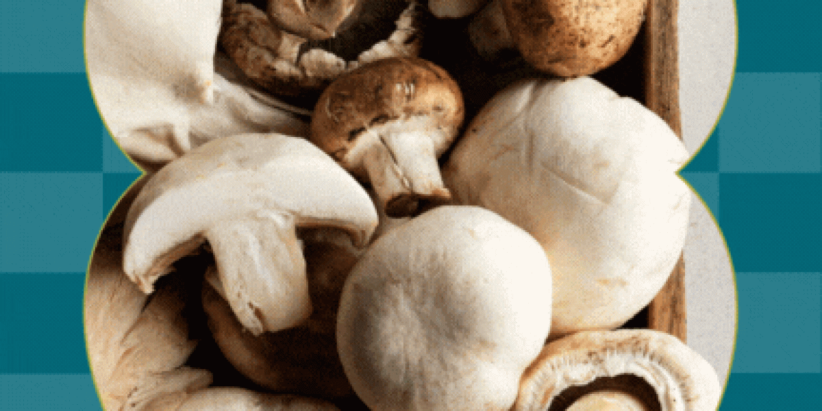 Mushrooms and Immunity