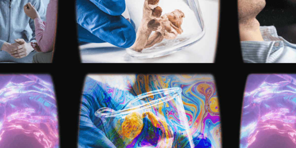 5 steps of psilocybin therapy