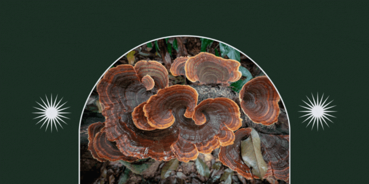 Mushrooms and Cancer