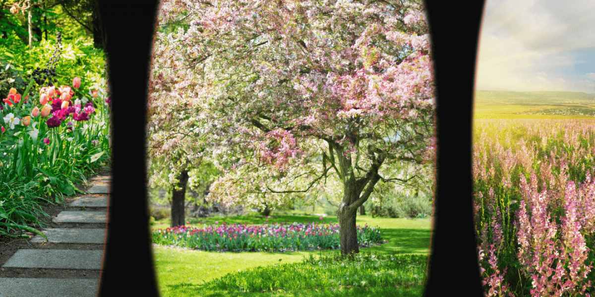 Microdosing in spring