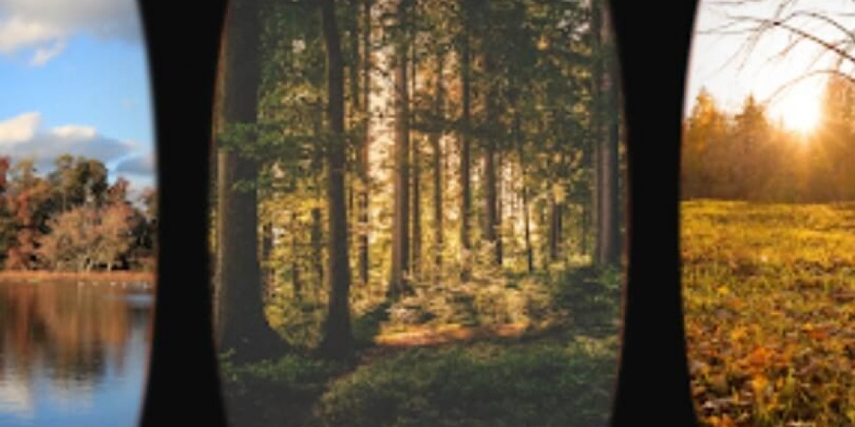 Mushrooms and Nature